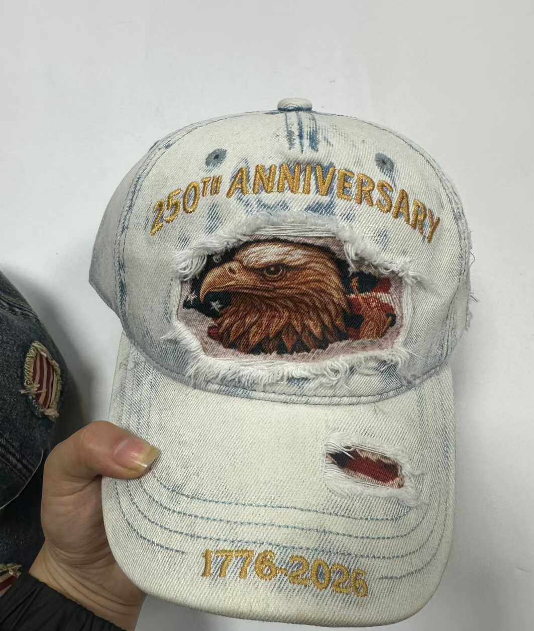250th Anniversary USA Flag Embroidered Baseball Cap: Eagle / M