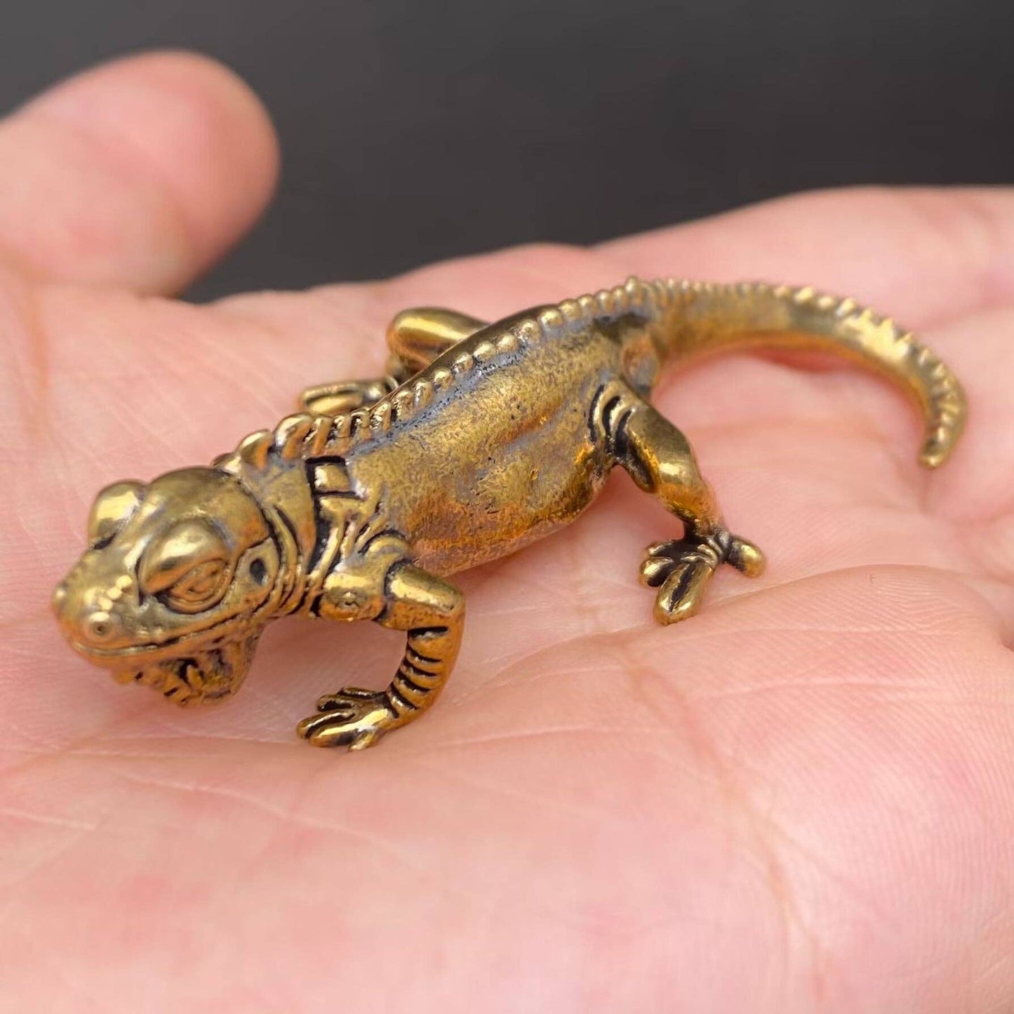 Brass Lizard Crafts Decoration Desktop Ornaments