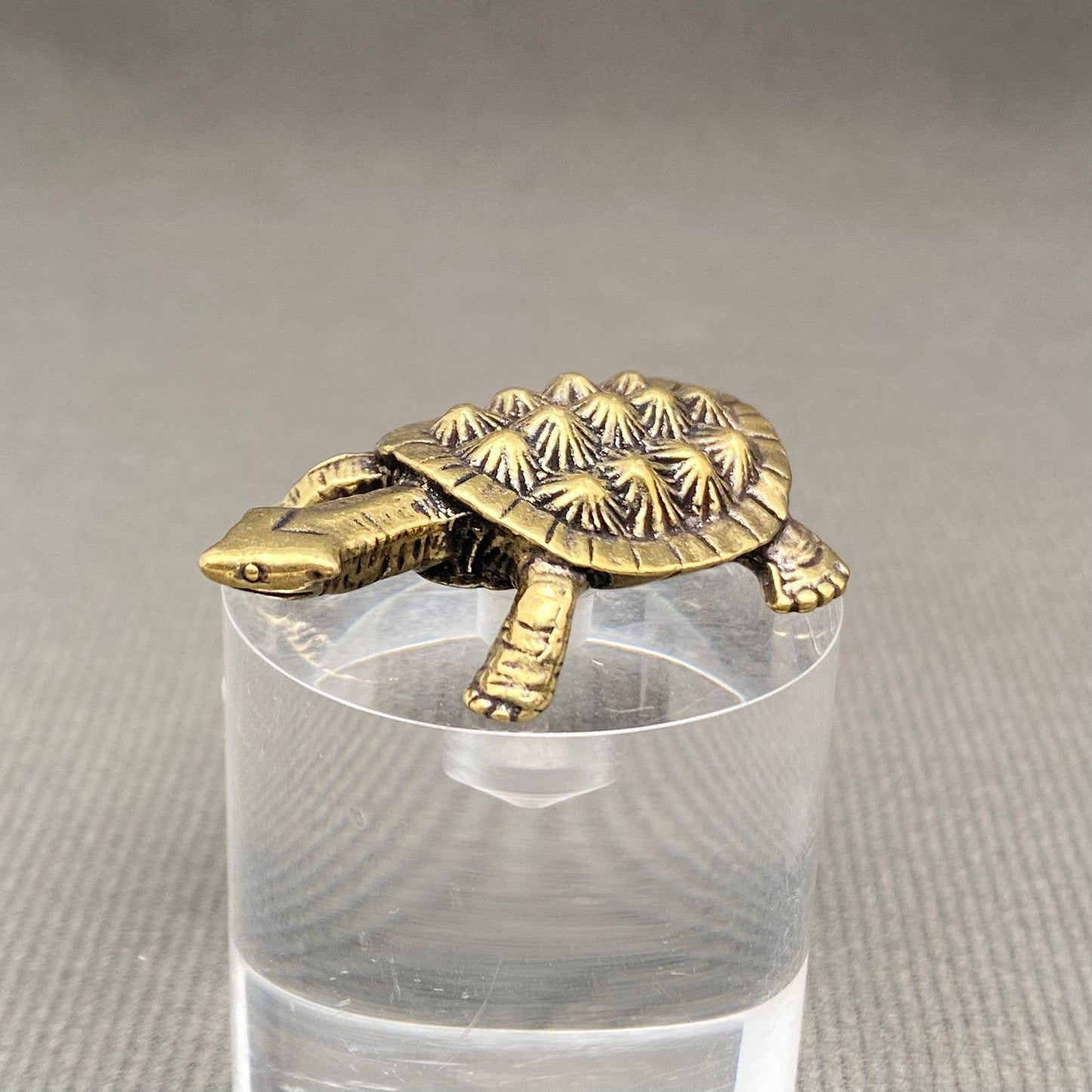 Brass Turtle Desktop Ornaments Decoration