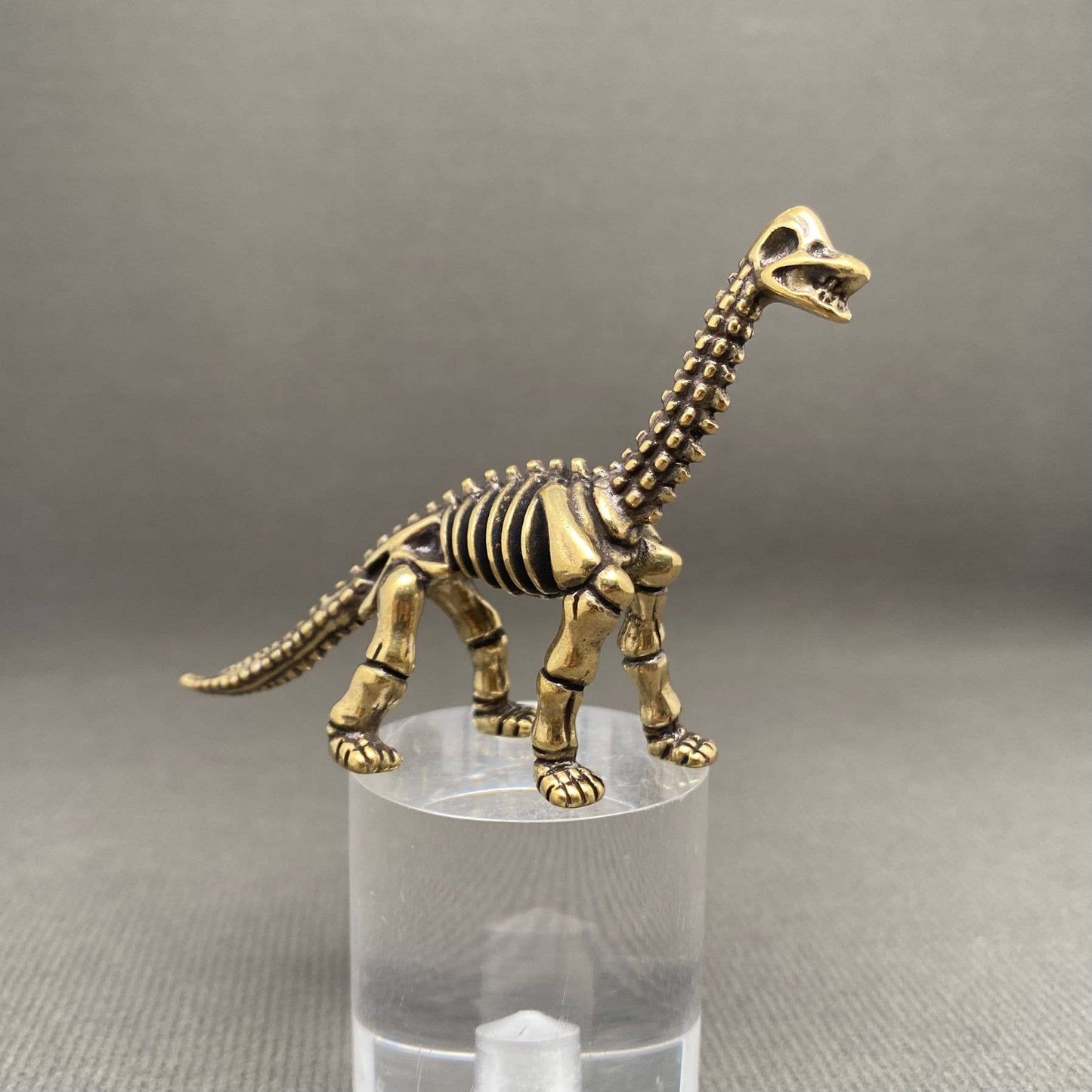 Brass Brachiosaurus Skeleton Crafts Decoration Desktop Ornaments