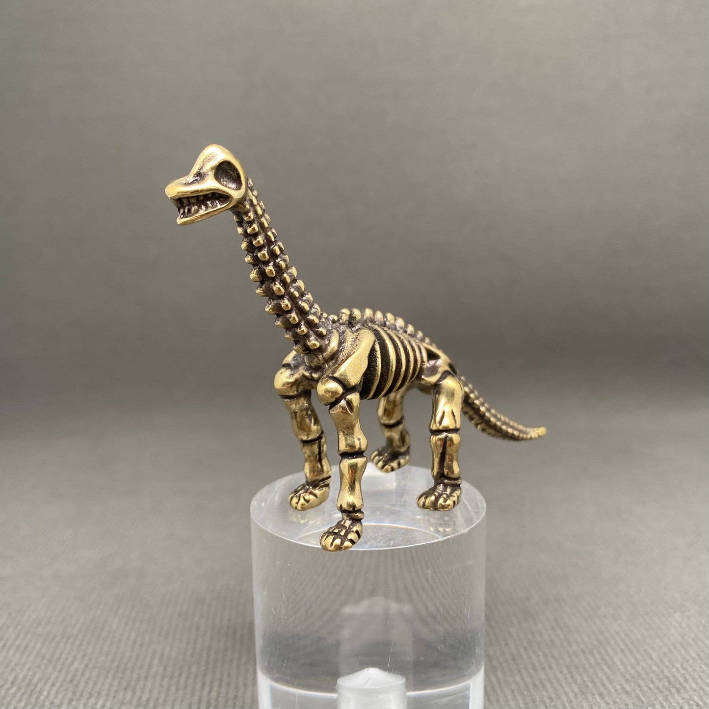 Brass Brachiosaurus Skeleton Crafts Decoration Desktop Ornaments