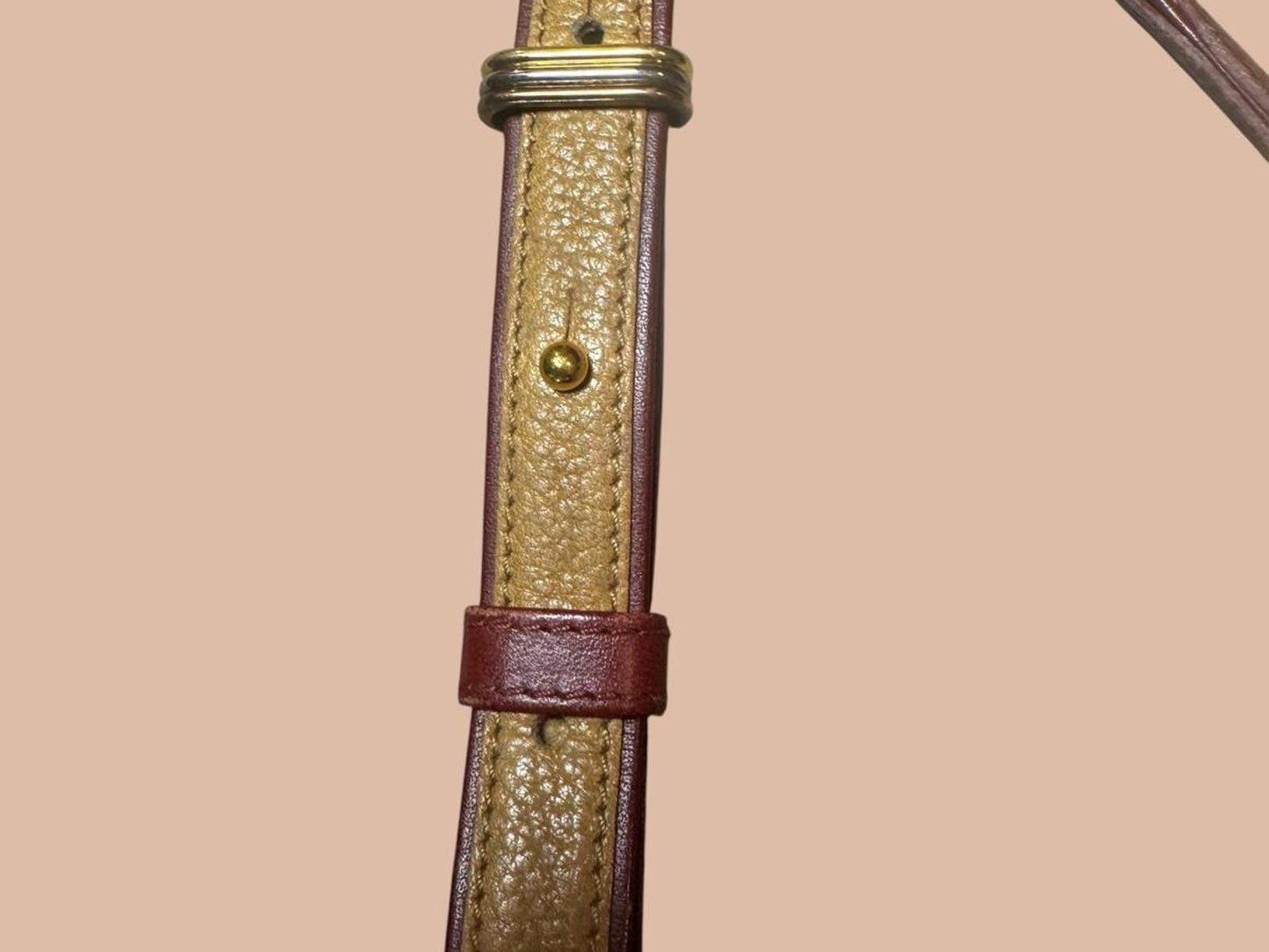 Cartier Must de Cartier Vintage Crossbody + Card