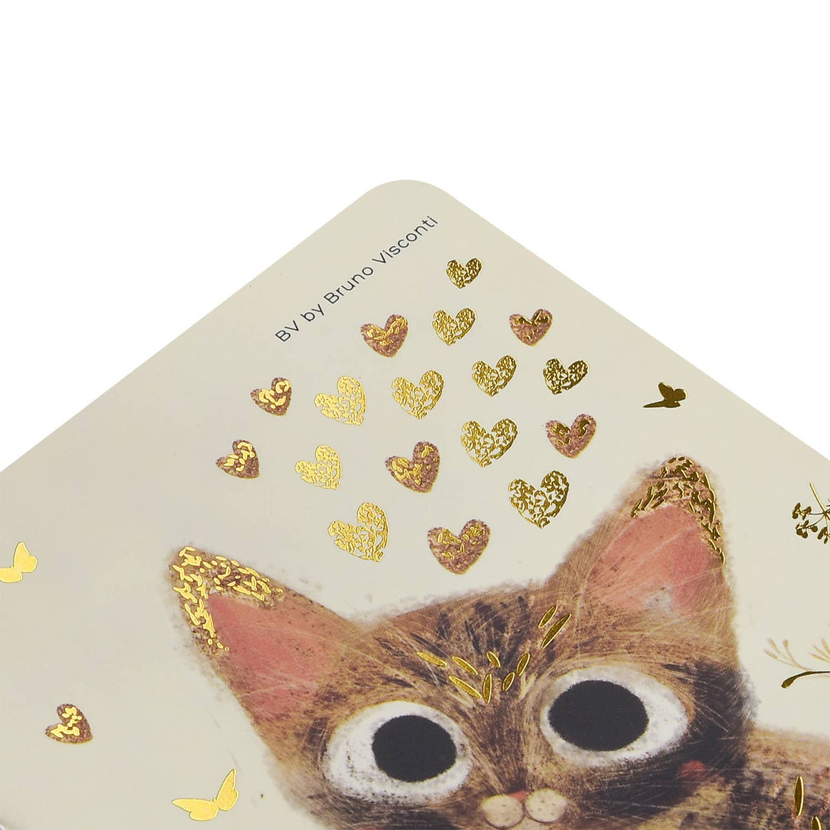 A6 Passport Notebook -  Kitten
