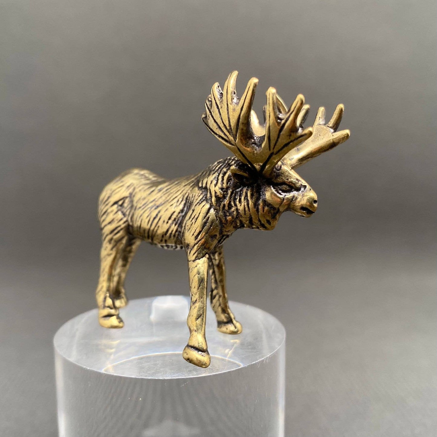 Brass Moose Crafts Decoration Desktop Ornaments
