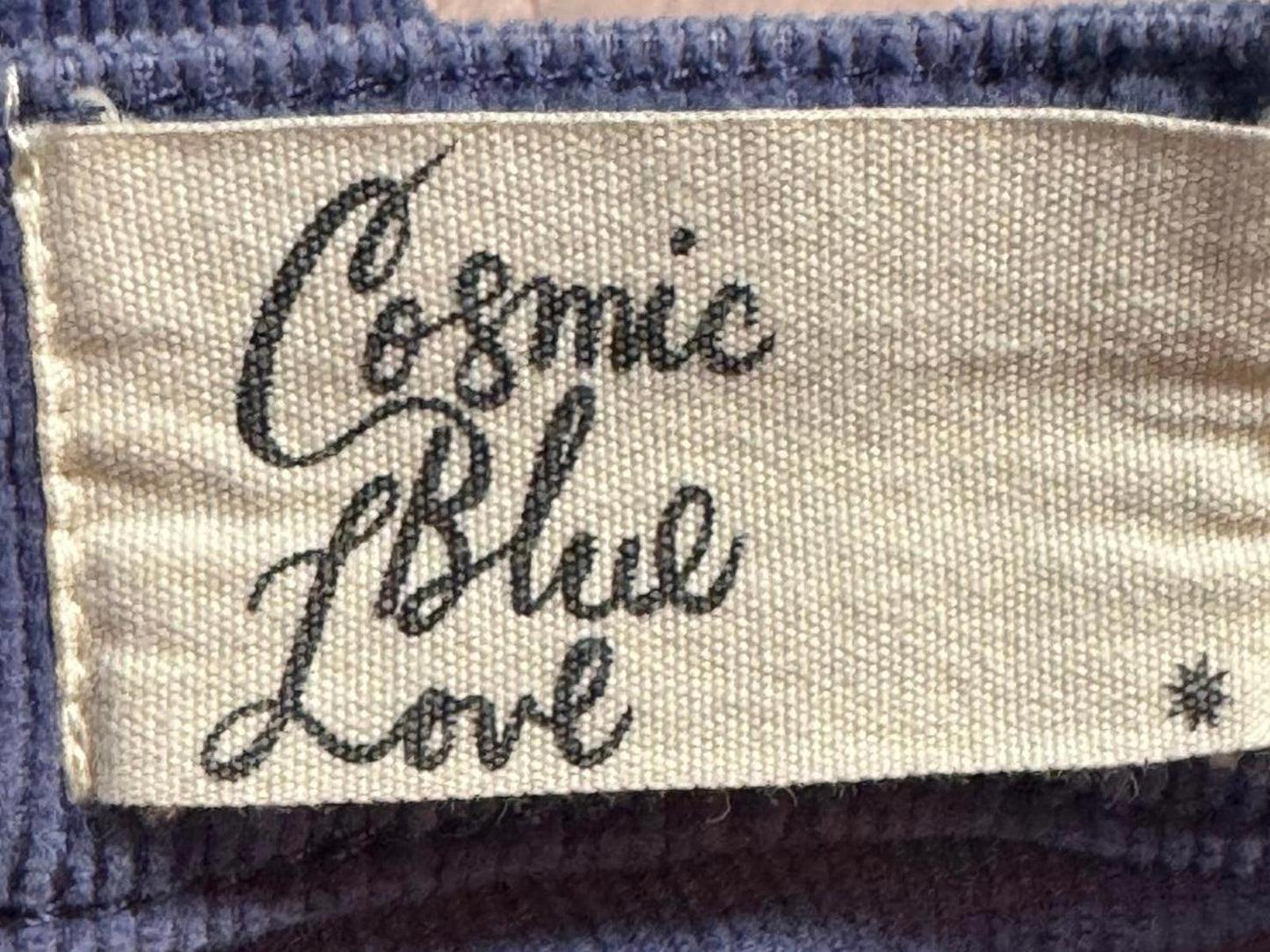 Cosmic Blue Love Navy Blue Corduroy Pants with Button Fly