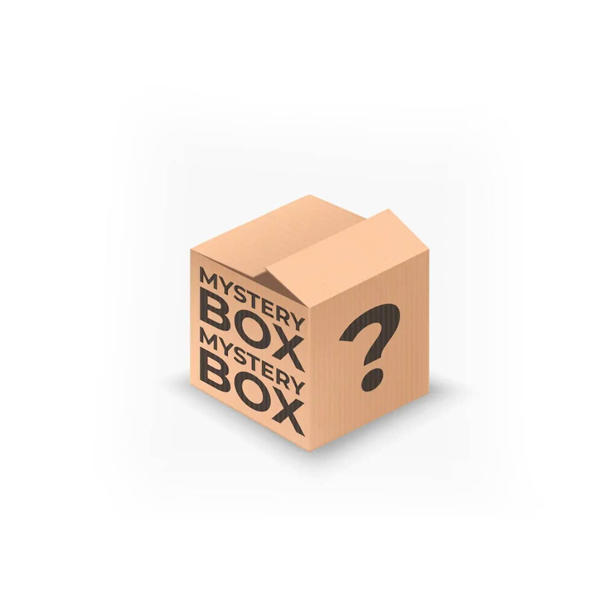 MYSTERY BOX (Clothing, Accessories): Accessories-194835 / OS